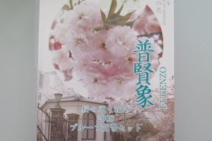 桜の通り抜け　2008　プルーフ貨幣セットをお買取りさせていただきました。（プルーフ買取/貨幣セット買取）
